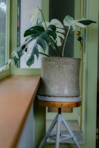 Create Calm: Minimalist Home Styling for Clutter-Free Living