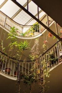 Bring Life Home: The Art of Decorating with Plants