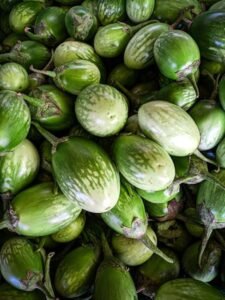 Nutrigenomics: Personalize Your Diet Using DNA Insights