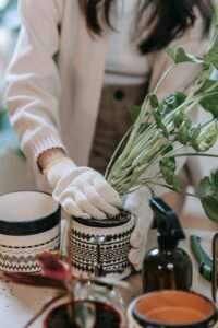 Transform Your Space: Budget-Friendly DIY Home Decor Ideas