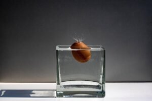 Egg Freezing: Your Journey to Hope and Future Choices