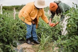 Growing Your Mom Biz: Effective Social Media Strategies