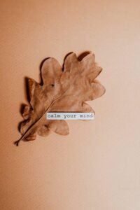 The Freedom Found in Saying No Without Guilt