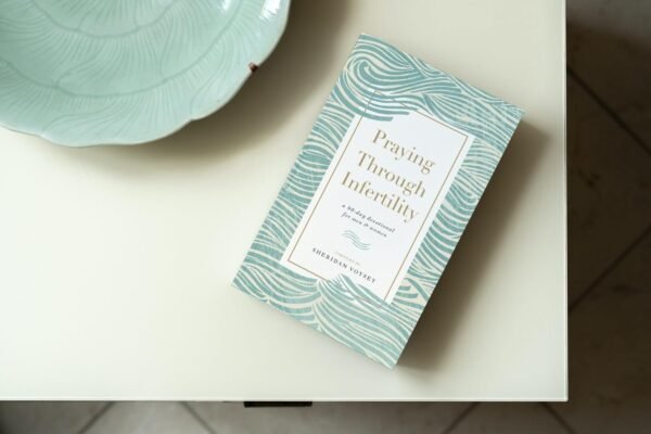 Praying Through Infertility: A 90-Day Devotional f... - Image 7