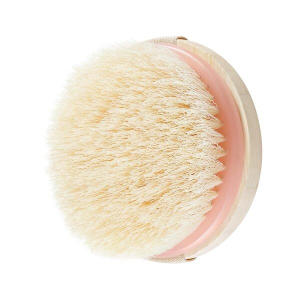 EcoTools Dry Brush, Gentle Exfoliating Scrubber fo... - Image 12