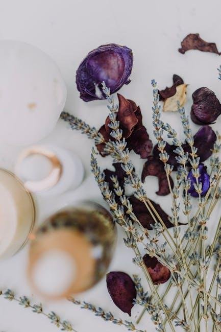 Calm Minds: How Meditation Fights Anxiety Daily