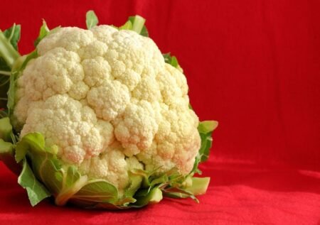 Top Benefits of a High-Fiber Diet for Healthy Digestion