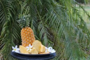 Why Fiber Matters: Key to a Balanced and Healthy Diet