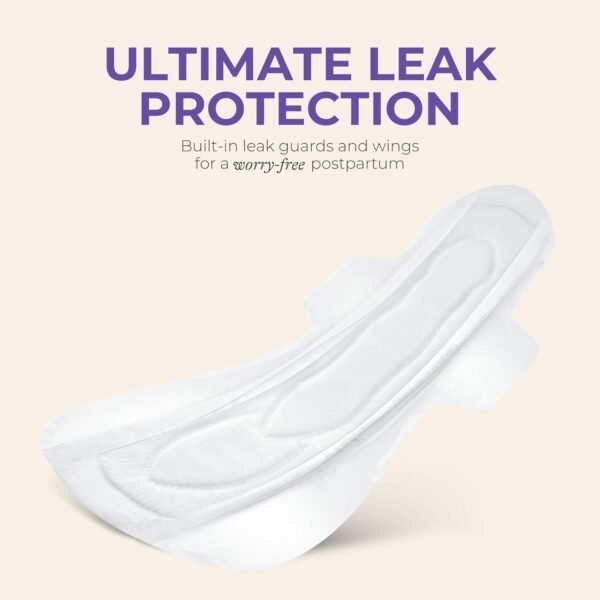 Lansinoh Peace of Mind Leak Protection & Postpartu... - Image 8