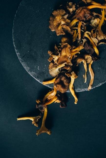 How Slow Cooking Preserves Nutrients for Healthier Meals