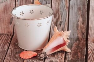 Bringing Nature Home: Inspire Your Space with Natural Elements