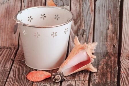 Bringing Nature Home: Inspire Your Space with Natural Elements