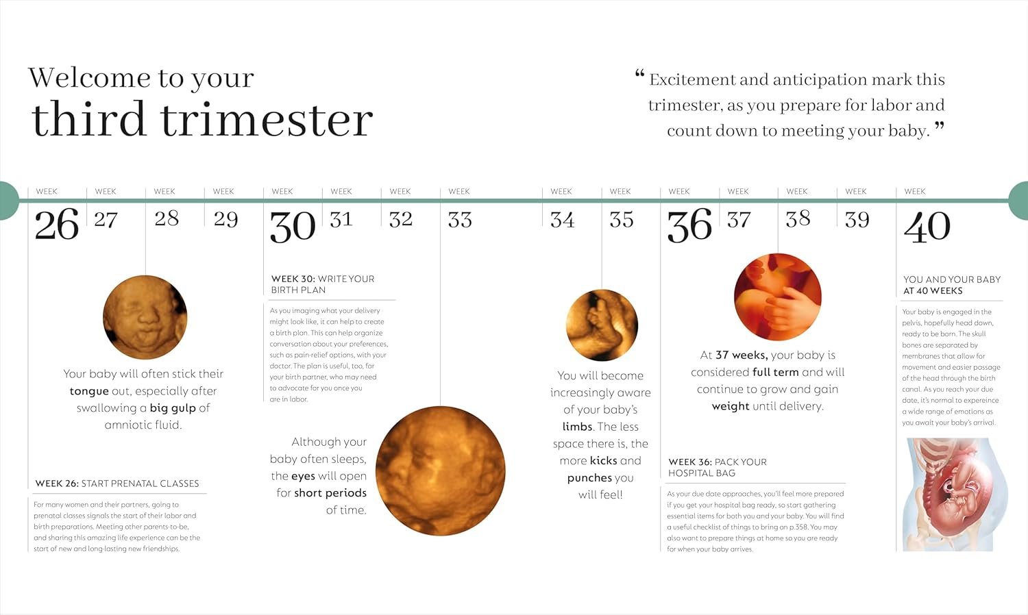 Pregnancy Day by Day: Count Down Your Pregnancy Da... - Image 8