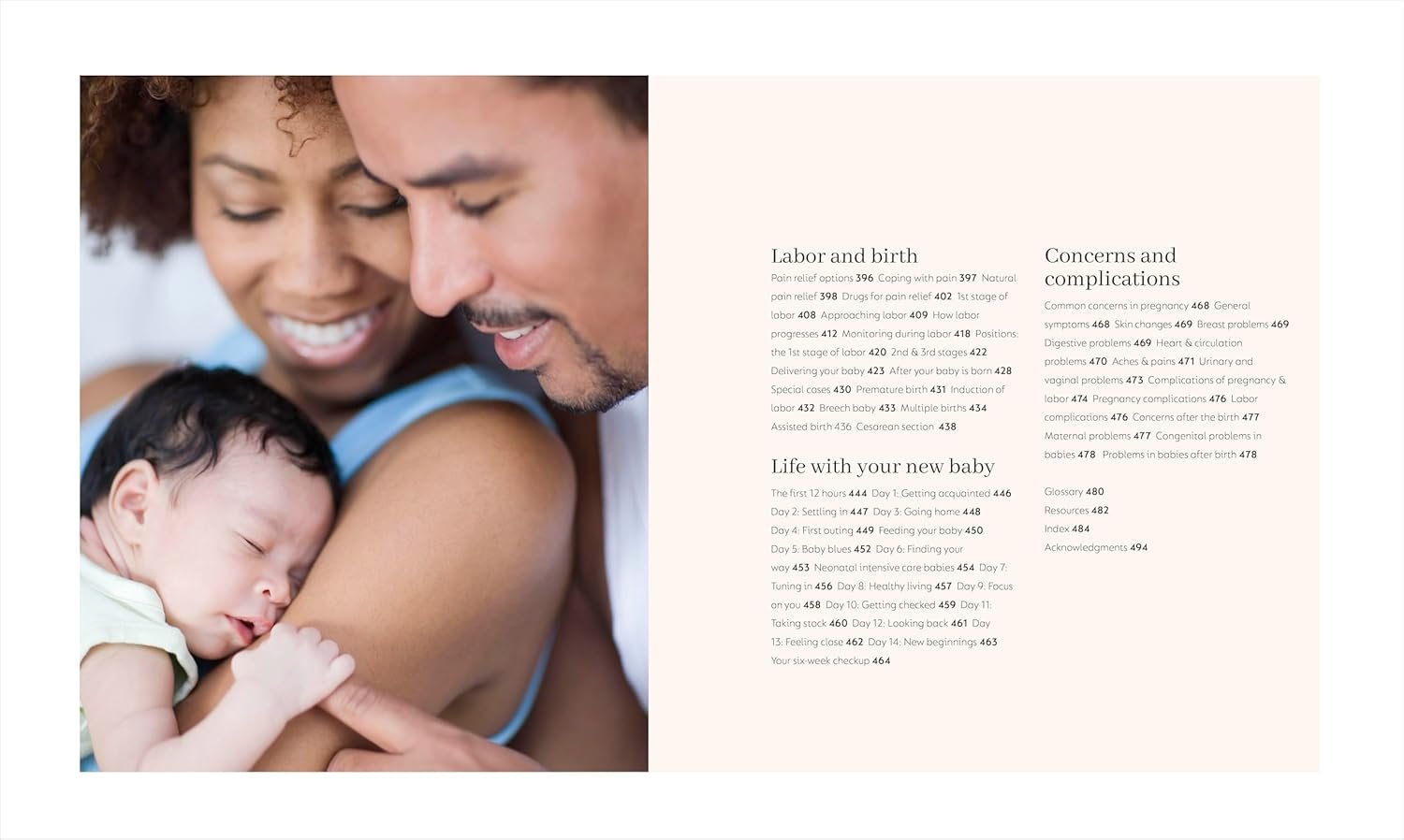 Pregnancy Day by Day: Count Down Your Pregnancy Da... - Image 4