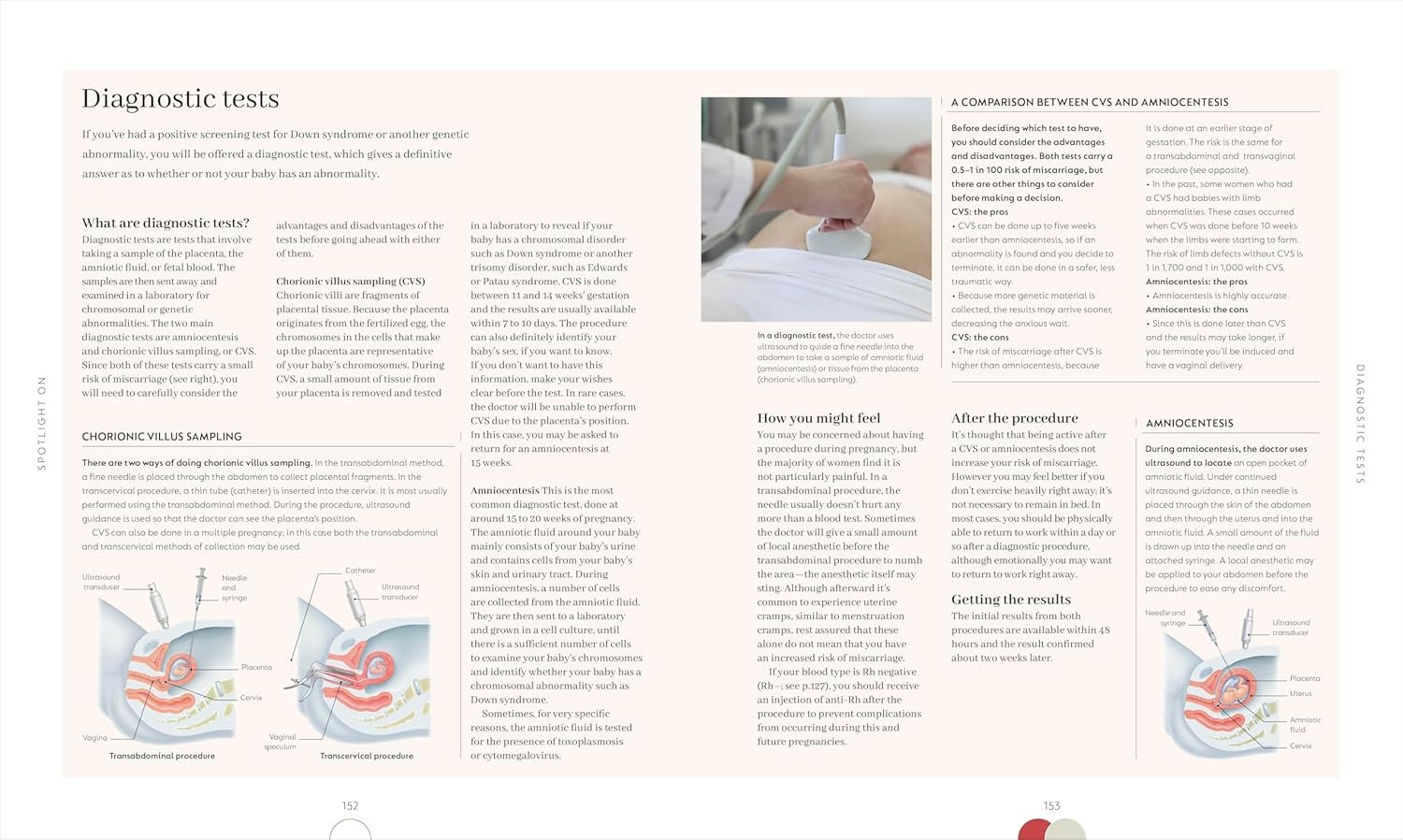 Pregnancy Day by Day: Count Down Your Pregnancy Da... - Image 7