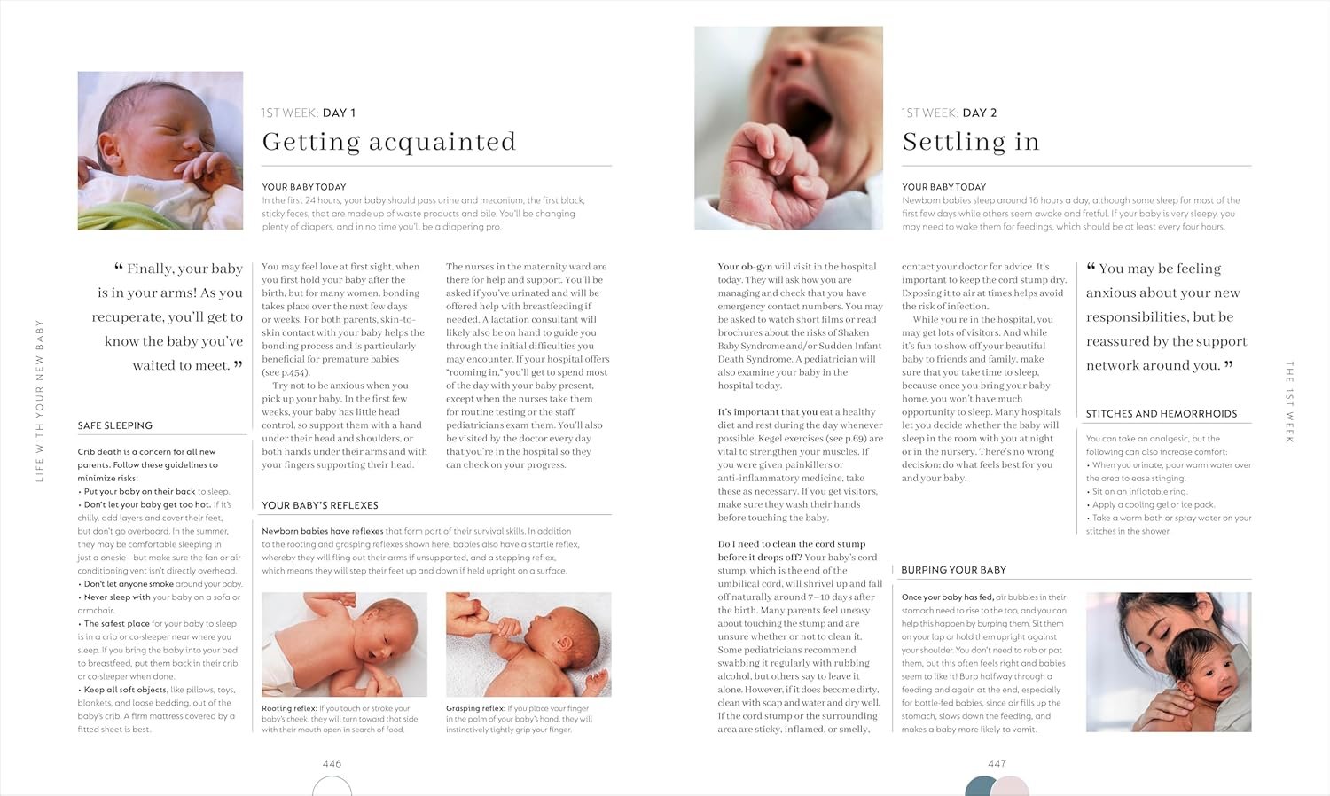 Pregnancy Day by Day: Count Down Your Pregnancy Da... - Image 9