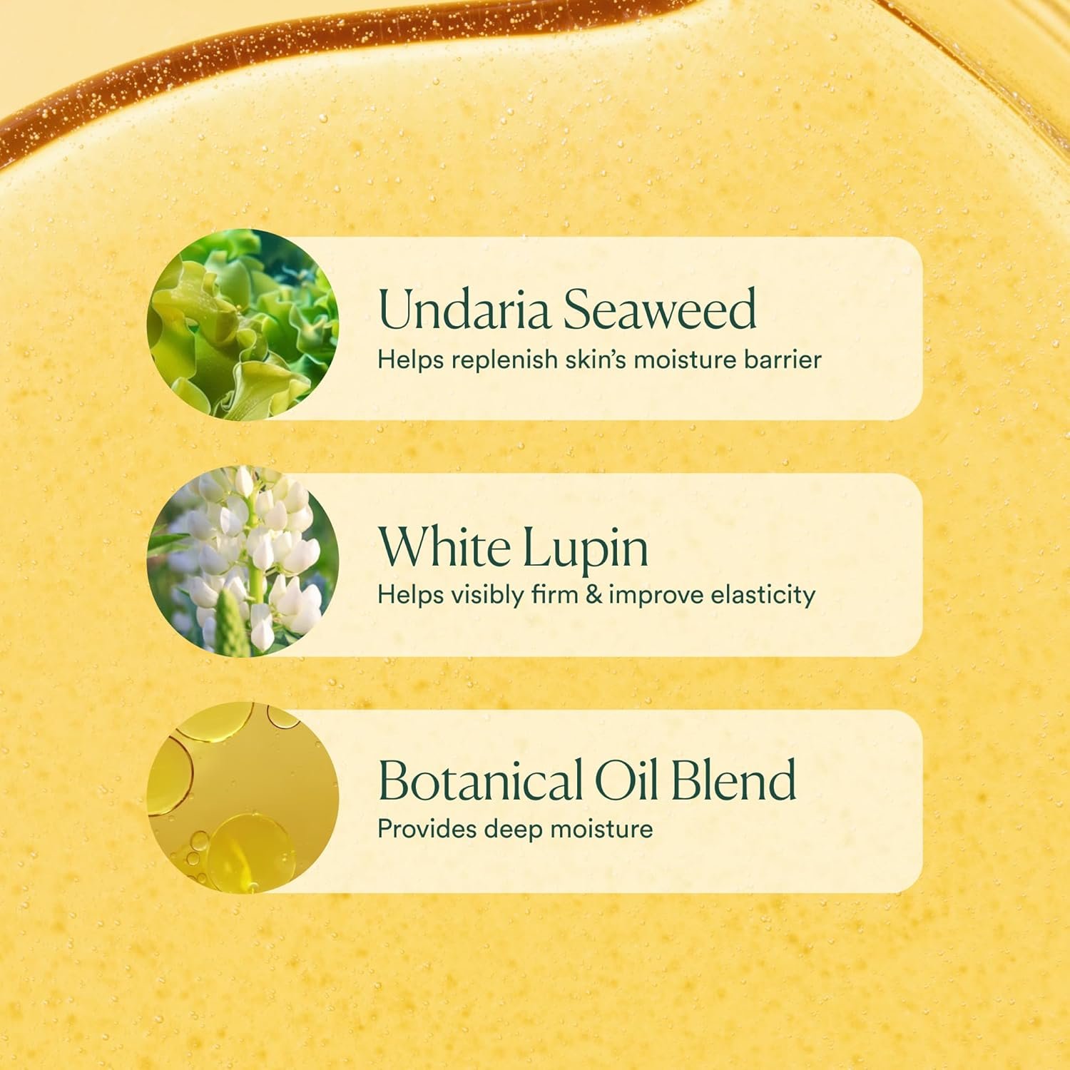 OSEA Undaria Algae Body Oil 5 oz – Visibly Firming... - Image 8